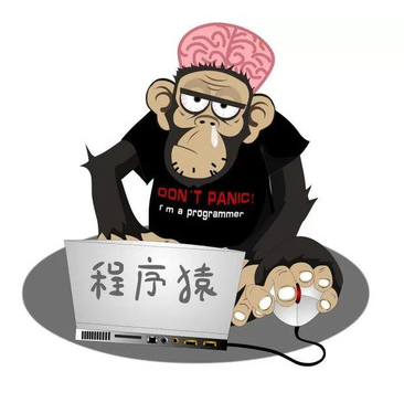 程序猿 程序员